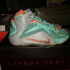 Lebron 12s